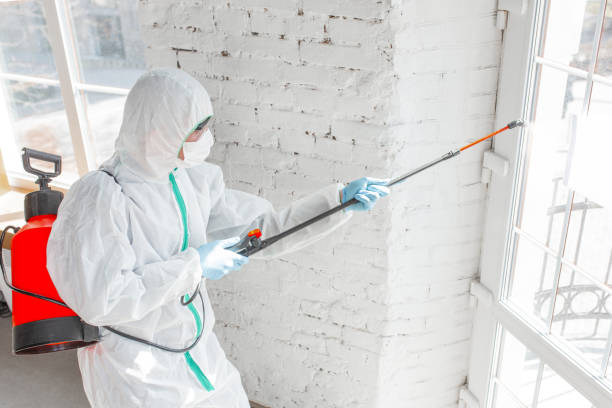 Mold Remediation for Rental Properties in Calumet City, IL