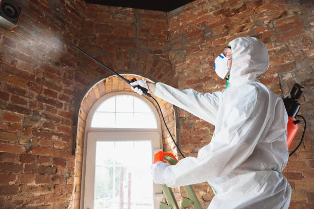 Best Asbestos and Lead Testing During Mold Inspection  in Calumet City, IL