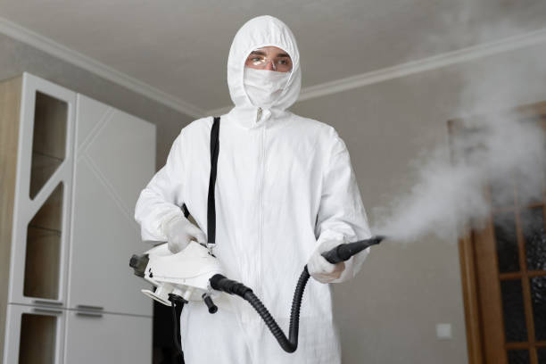 Why You Should Choose Our Mold Remediation Services in Calumet City, IL